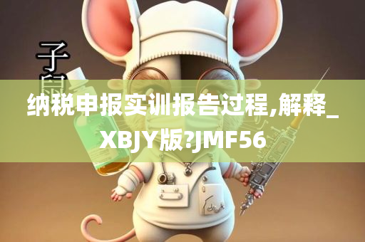 纳税申报实训报告过程,解释_XBJY版?JMF56