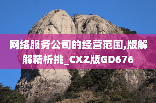 网络服务公司的经营范围,版解解精析挑_CXZ版GD676