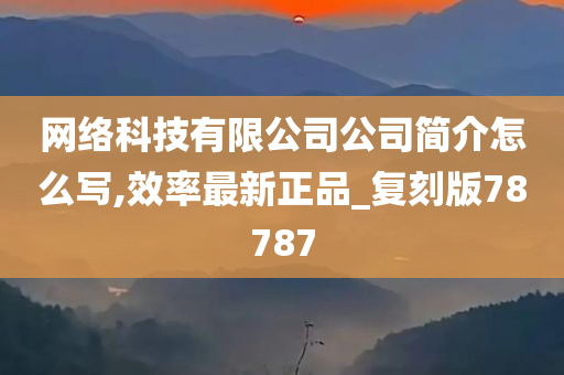 网络科技有限公司公司简介怎么写,效率最新正品_复刻版78787