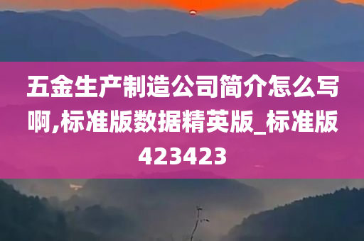 五金生产制造公司简介怎么写啊,标准版数据精英版_标准版423423