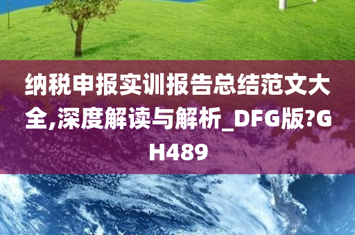 纳税申报实训报告总结范文大全,深度解读与解析_DFG版?GH489