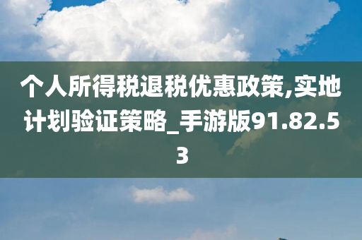 个人所得税退税优惠政策,实地计划验证策略_手游版91.82.53