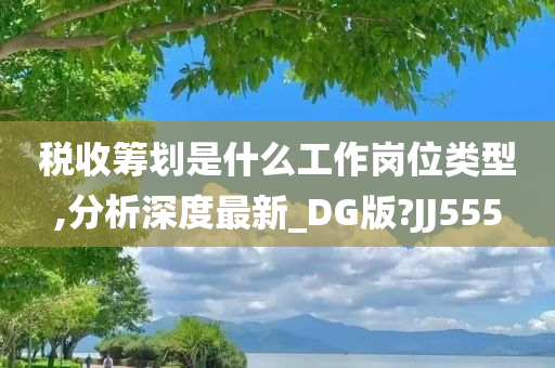 税收筹划是什么工作岗位类型,分析深度最新_DG版?JJ555