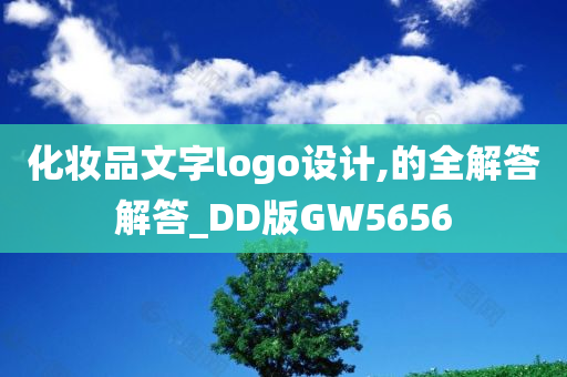 化妆品文字logo设计,的全解答解答_DD版GW5656