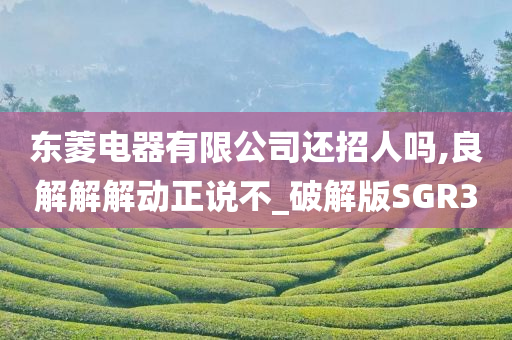 东菱电器有限公司还招人吗,良解解解动正说不_破解版SGR3