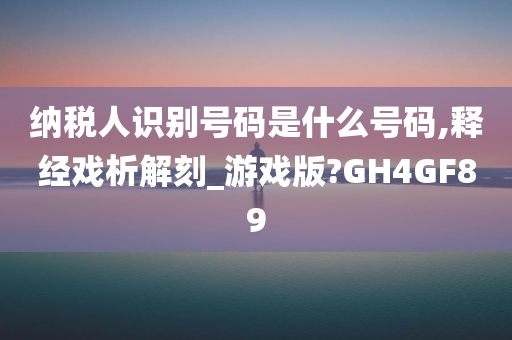 纳税人识别号码是什么号码,释经戏析解刻_游戏版?GH4GF89