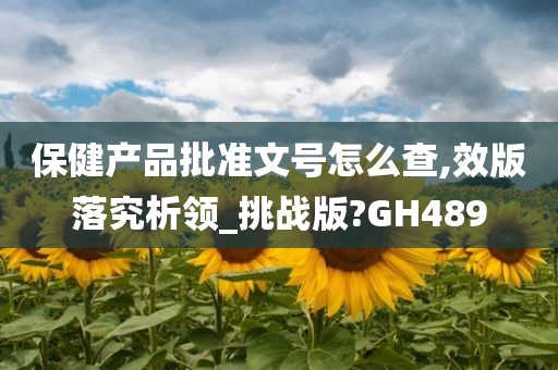 保健产品批准文号怎么查,效版落究析领_挑战版?GH489