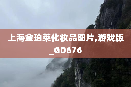 上海金珀莱化妆品图片,游戏版_GD676