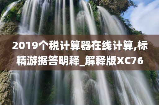 2019个税计算器在线计算,标精游据答明释_解释版XC76