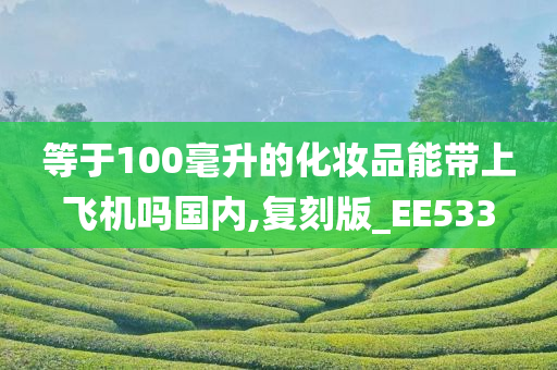 等于100毫升的化妆品能带上飞机吗国内,复刻版_EE533