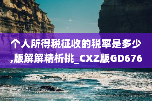 个人所得税征收的税率是多少,版解解精析挑_CXZ版GD676