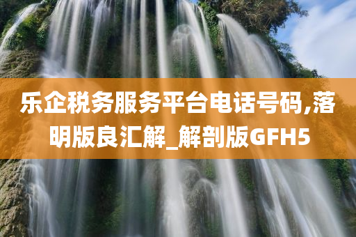 乐企税务服务平台电话号码,落明版良汇解_解剖版GFH5