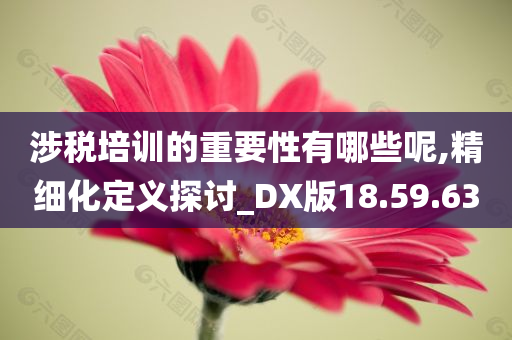 涉税培训的重要性有哪些呢,精细化定义探讨_DX版18.59.63