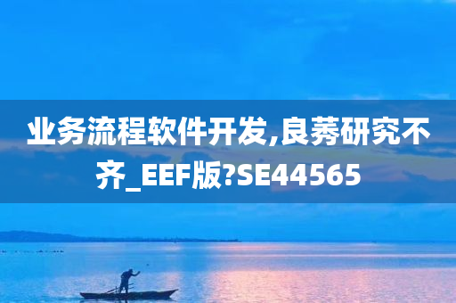 业务流程软件开发,良莠研究不齐_EEF版?SE44565