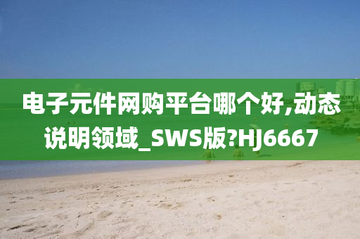 电子元件网购平台哪个好,动态说明领域_SWS版?HJ6667