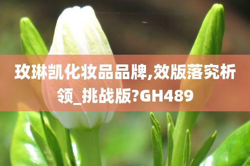 玫琳凯化妆品品牌,效版落究析领_挑战版?GH489