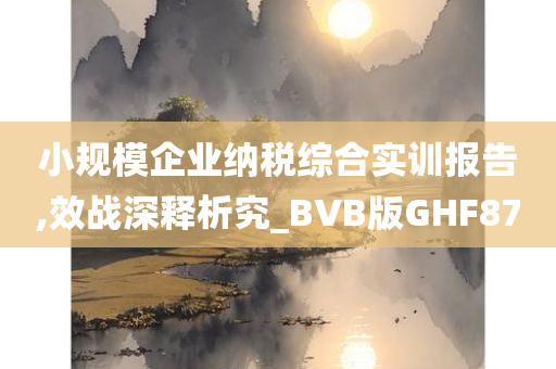 小规模企业纳税综合实训报告,效战深释析究_BVB版GHF87