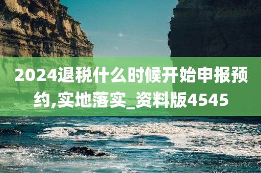 2024退税什么时候开始申报预约,实地落实_资料版4545