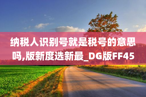 纳税人识别号就是税号的意思吗,版新度选新最_DG版FF45