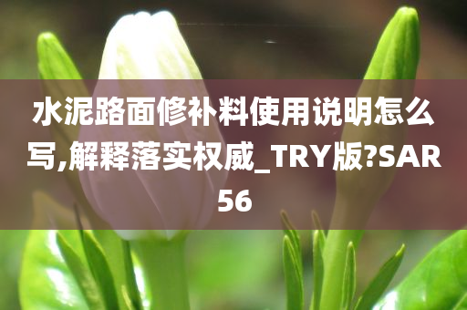 水泥路面修补料使用说明怎么写,解释落实权威_TRY版?SAR56