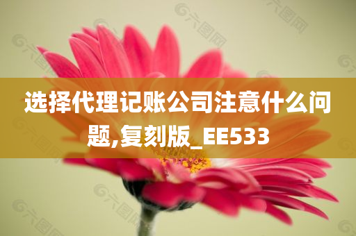 选择代理记账公司注意什么问题,复刻版_EE533