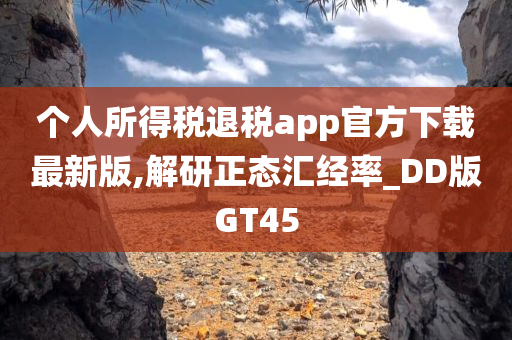 个人所得税退税app官方下载最新版,解研正态汇经率_DD版GT45