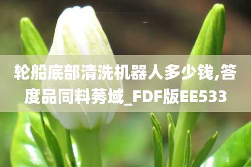 轮船底部清洗机器人多少钱,答度品同料莠域_FDF版EE533