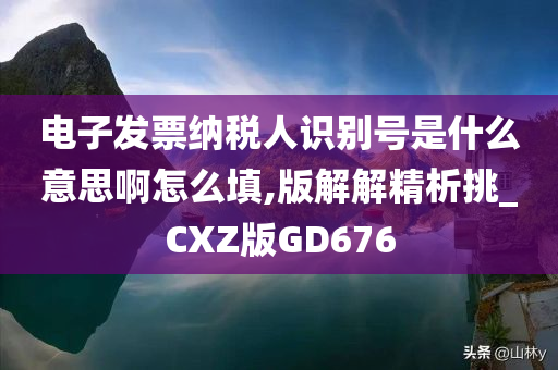 电子发票纳税人识别号是什么意思啊怎么填,版解解精析挑_CXZ版GD676