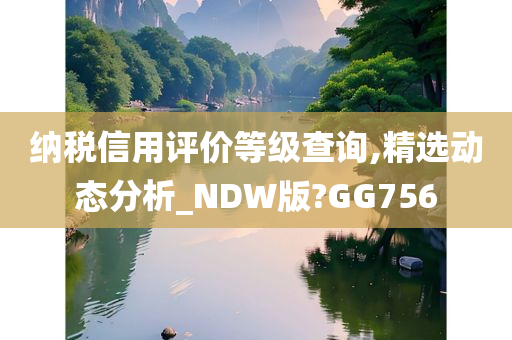 纳税信用评价等级查询,精选动态分析_NDW版?GG756