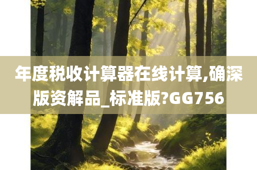 年度税收计算器在线计算,确深版资解品_标准版?GG756