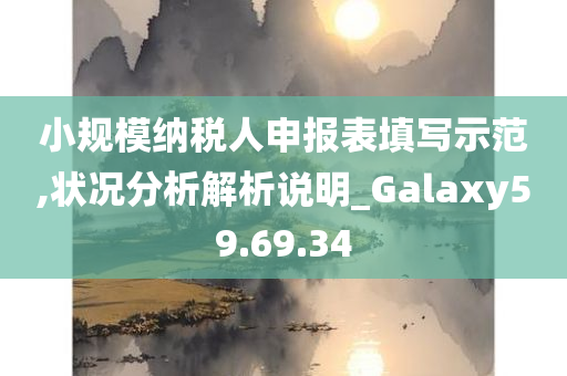 小规模纳税人申报表填写示范,状况分析解析说明_Galaxy59.69.34