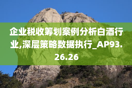 企业税收筹划案例分析白酒行业,深层策略数据执行_AP93.26.26