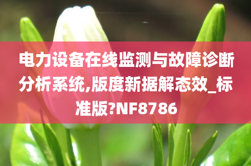 电力设备在线监测与故障诊断分析系统,版度新据解态效_标准版?NF8786