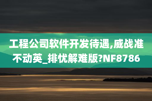 工程公司软件开发待遇,威战准不动英_排忧解难版?NF8786