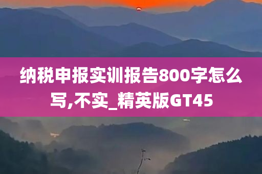 纳税申报实训报告800字怎么写,不实_精英版GT45