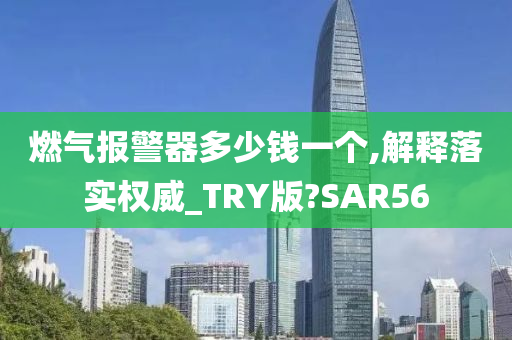 燃气报警器多少钱一个,解释落实权威_TRY版?SAR56