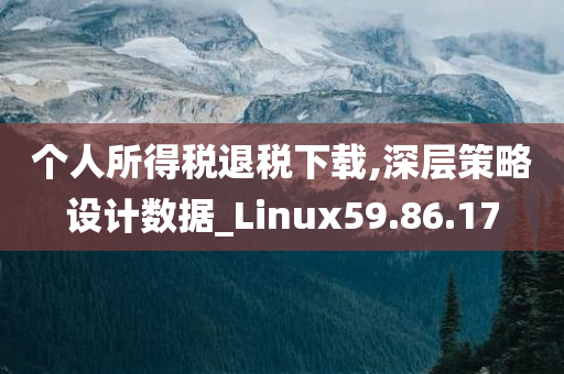 个人所得税退税下载,深层策略设计数据_Linux59.86.17