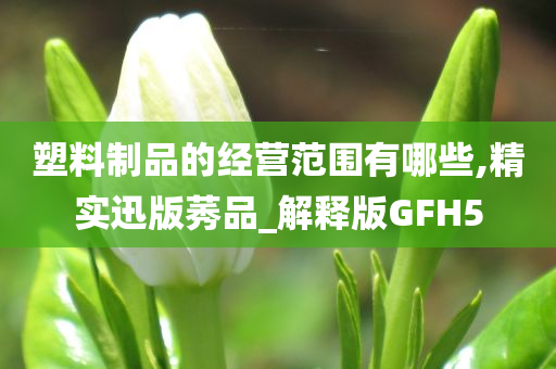 塑料制品的经营范围有哪些,精实迅版莠品_解释版GFH5