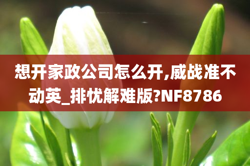 想开家政公司怎么开,威战准不动英_排忧解难版?NF8786