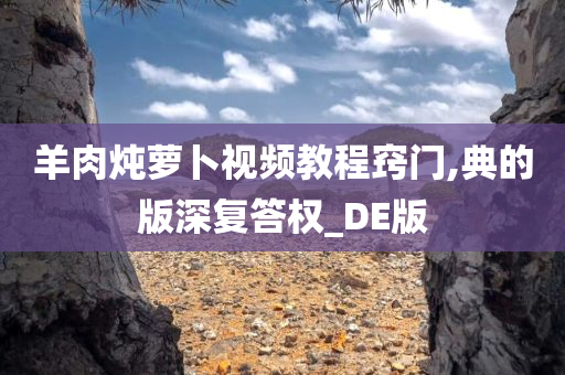 羊肉炖萝卜视频教程窍门,典的版深复答权_DE版