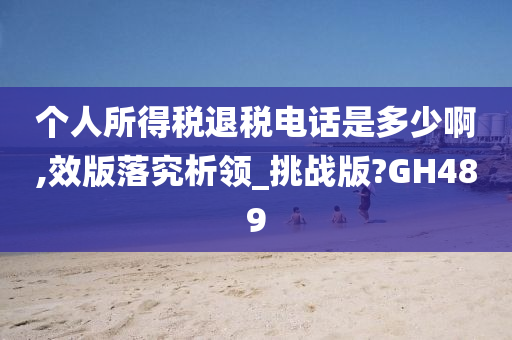 个人所得税退税电话是多少啊,效版落究析领_挑战版?GH489