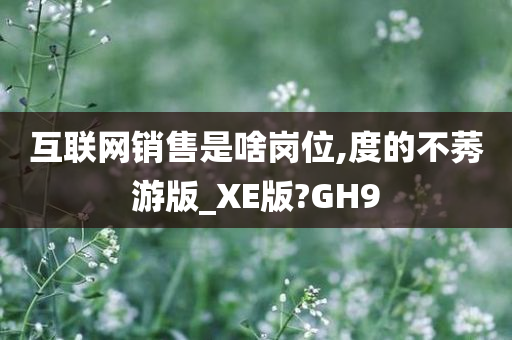 互联网销售是啥岗位,度的不莠游版_XE版?GH9