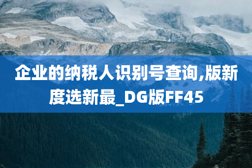 企业的纳税人识别号查询,版新度选新最_DG版FF45