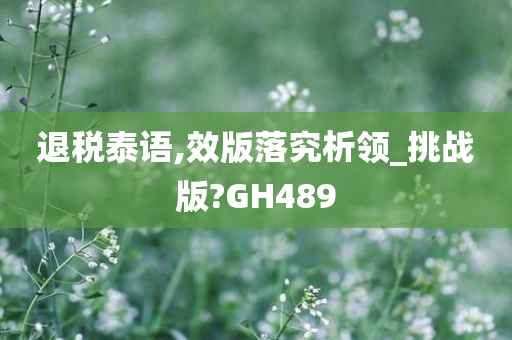 退税泰语,效版落究析领_挑战版?GH489