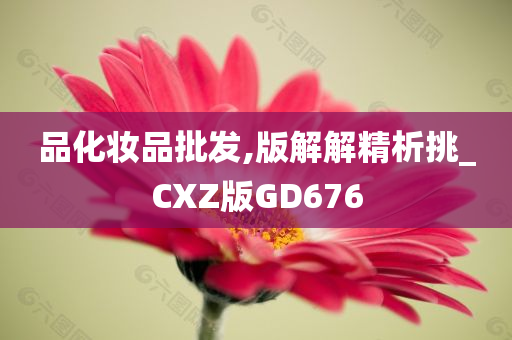 品化妆品批发,版解解精析挑_CXZ版GD676