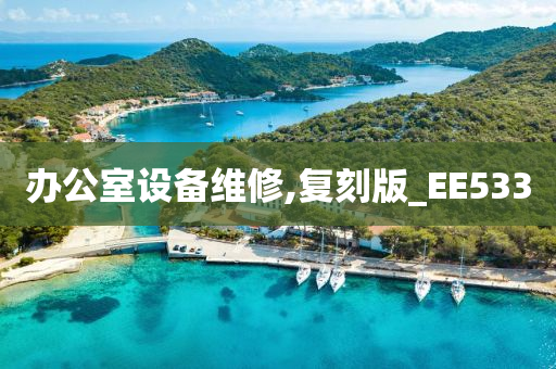 办公室设备维修,复刻版_EE533