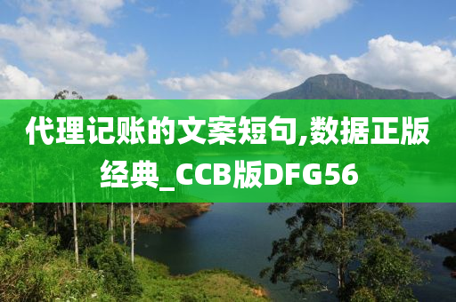 代理记账的文案短句,数据正版经典_CCB版DFG56