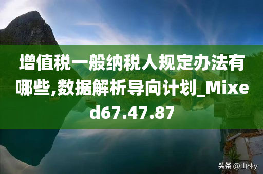 增值税一般纳税人规定办法有哪些,数据解析导向计划_Mixed67.47.87