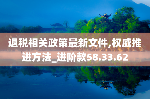 退税相关政策最新文件,权威推进方法_进阶款58.33.62