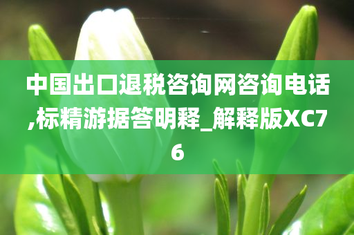 中国出口退税咨询网咨询电话,标精游据答明释_解释版XC76